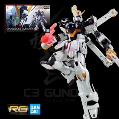 RG 1/144 CROSSBONE GUNDAM X1 [TITANIUM FINISH]