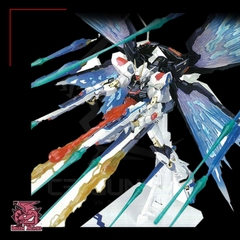 MG HIRM 1/100 DRAGON MOMOKO ZGMF-X20A STRIKE FREEDOM GUNDAM METAL FRAME + WING OF LIGHT +EFFECT PART