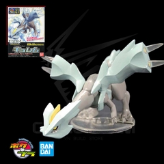 POKEMON PLASTIC MODEL COLLECTION 021 KYUREM POKEMON PLAMO