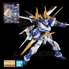 MG 1/100 ASTRAY BLUE FRAME D