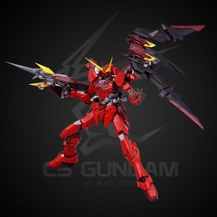 MG 1/100 DRAGON MOMOKO ZGMF-X12A GUNDAM TESTAMENT