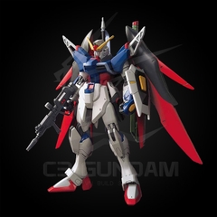 HGSEED 1/144 ZGMF-X42S GUNDAM DESTINY REVIVE