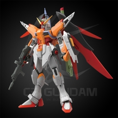 HGSEED 226 1/144 DESTINY GUNDAM REVIVE ( HEINE WESTENFLUSS CUSTOM)