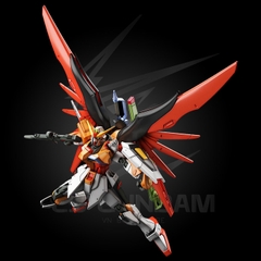 HGSEED 226 1/144 DESTINY GUNDAM REVIVE ( HEINE WESTENFLUSS CUSTOM)