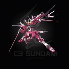 HGSEED 231 1/144 ZGMF-X19 INFINITE JUSTICE GUNDAM REVIVE