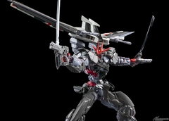 HI RESOLUTION MODEL 1/100 GUNDAM ASTRAY NOIR HIRM