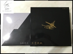 METAL BUILD CHINA NONAME GUNDAM FREEDOM