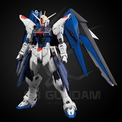 MG 1/100 FREEDOM 2.0