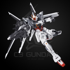 MG 1/100 GUNDAM EX IMPULSE [P-Bandai]