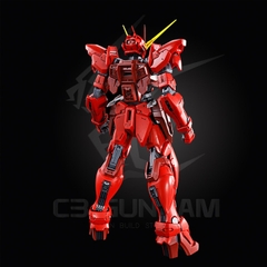 MG 1/100 RGX-00 TESTAMENT GUNDAM [P-BANDAI]