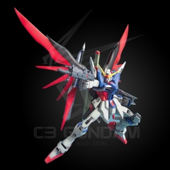 MG 1/100 ZGMF-X42S DESTINY GUNDAM