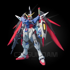 MG 1/100 ZGMF-X42S DESTINY GUNDAM