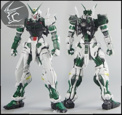 PG 1/60 NILSON WORKS ASTRAY GREEN FRAME + FLIGHT UNIT