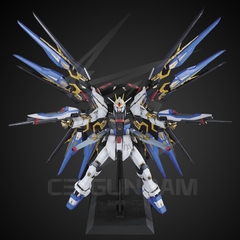 PG 1/60 ZGMF-X20A STRIKE FREEDOM GUNDAM