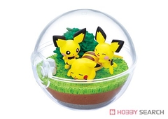 POKEMON RE-MENT TERRARIUM COLLECTION VOL 9 ( JAPAN VER )