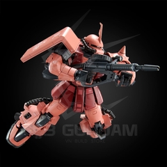 RG 1/144 HIGH MOBILITY TYPE ZAKU II (TEAM MONSTRE CUSTOM) [P-Bandai]