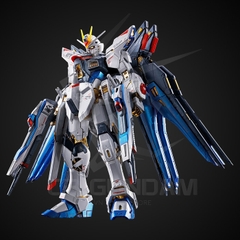 RG 1/144 ZGMF-X20A STRIKE FREEDOM GUNDAM (TITANIUM FINISH) [P-Bandai]