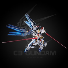 RG 1/144 ZGMF-X20A STRIKE FREEDOM GUNDAM (TITANIUM FINISH) [P-Bandai]