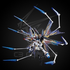RG 1/144 ZGMF-X20A STRIKE FREEDOM GUNDAM (TITANIUM FINISH) [P-Bandai]
