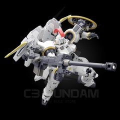 RG 28 1/144 TALLGEESE EW