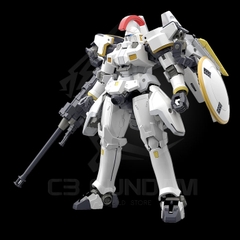RG 28 1/144 TALLGEESE EW