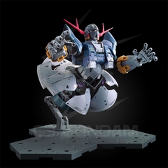 RG 34 1/144 MSN-02 ZEONG