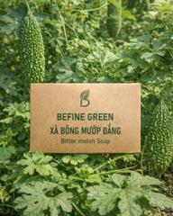 (Tặng Túi) Xà Bông Ủ Lạnh Tinh Dầu Thiên Nhiên BEFINE GREEN 100g (Sả Chanh, Than Tre, Cam Nghệ...)