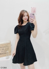 Đầm cổ tròn đen C1364