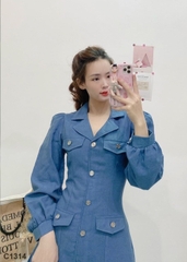 Đầm vest nút xanh C1314