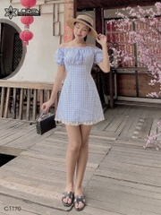 Đầm caro xanh C1170