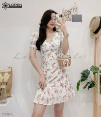 Đầm xòe hoa nhí trắng C1694