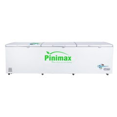 Tủ đông Pinimax 1 ngăn 900 lít PNM119AF
