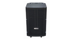 Loa kéo ACNOS CB39D Bass 40cm, 100W