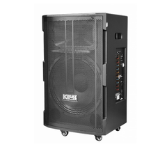 Loa kéo ACNOS CB39D Bass 40cm, 100W