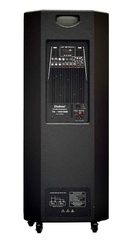 Loa kéo Dalton TS-12G900