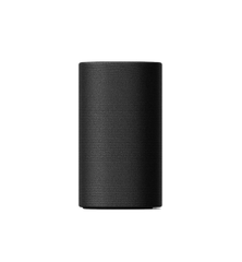 Loa Sony BRAVIA Theatre Rear 8 SA-RS8