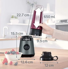 Máy xay sinh tố Bosch Mini MMB2111S 450W