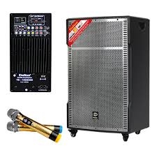 Loa kéo di động Dalton 850W TS-18G800X