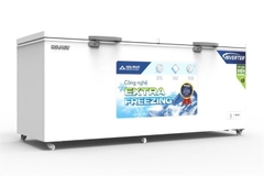 Tủ đông Hòa Phát HPF AD8783 Inverter 783 lít
