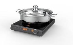 Bếp từ đơn Hawonkoo CEH-108-I-GR