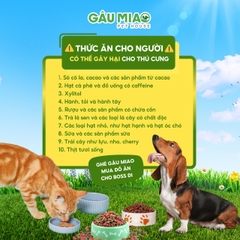 TOP 20 NHỮNG THỰC PHẨM GÂY NGUY HIỂM CHO CHÓ MÈO