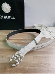 CC Belt