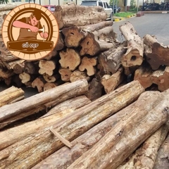 Sập Thờ Gỗ Gụ - ST 147