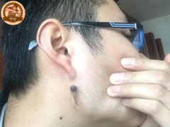 Sập Thờ Gỗ Gụ - ST 147