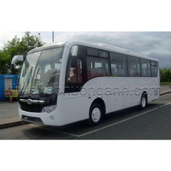 Cho thuê xe 35 chỗ Hyundai Aero Town