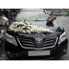 Xe cưới Toyota Vios