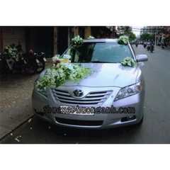 Xe Cưới Toyota Altis