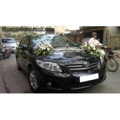 Xe Cưới Toyota Altis
