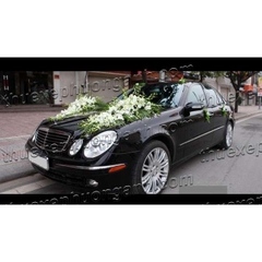 Xe Cưới Mercedes E240