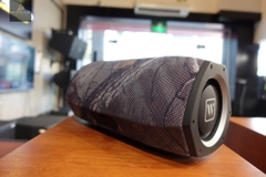 Loa bluetooth Wharfedale Exson Pro